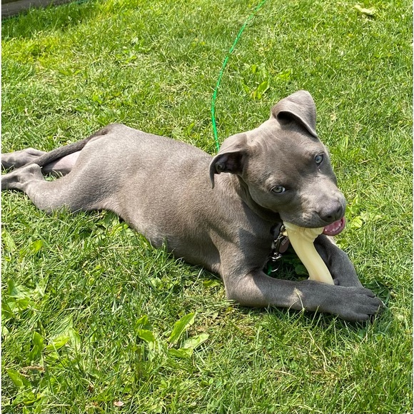 Meet your Posher, Julie - Picture 5 of 6